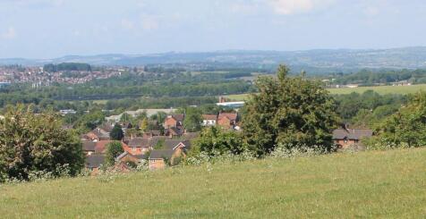 View Beyond