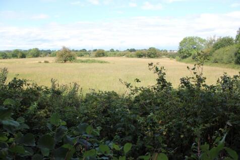 View Beyond The Garden