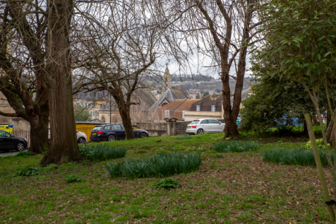 Property Image 13