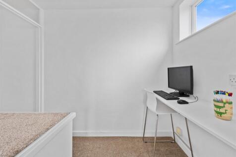 Study Area