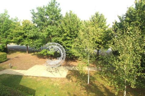 Communal Garden