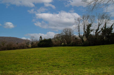 IMG_6418 copy