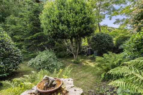 Property Image 41