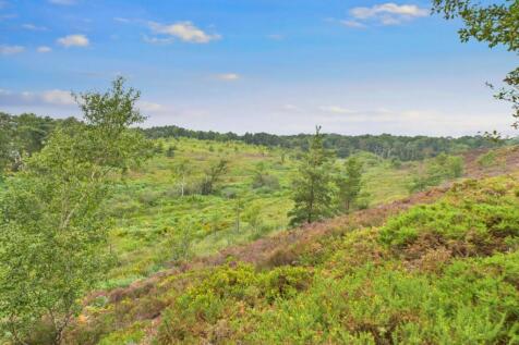 Heathland