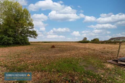 Field