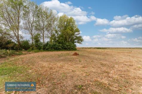 Field