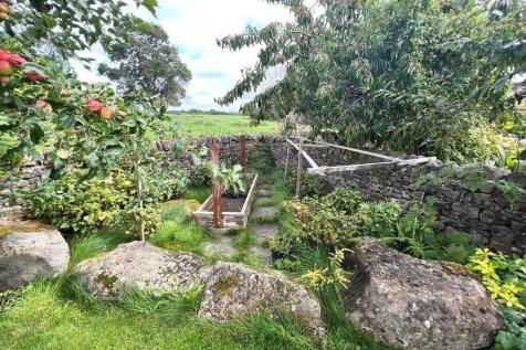 veg kitchen garden.jpg
