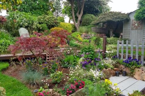 garden summer.jpg