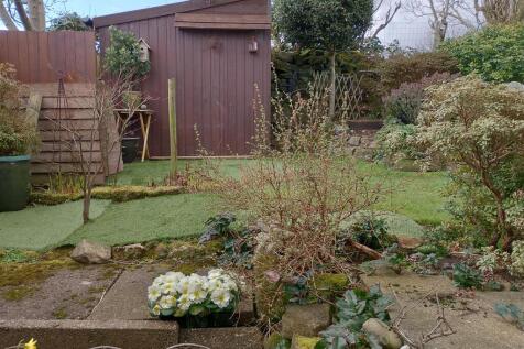 GardenPic3  moor.jpg