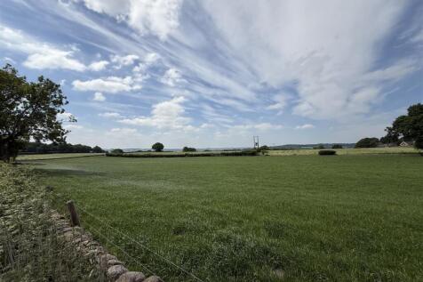 Makeney 6.jpg