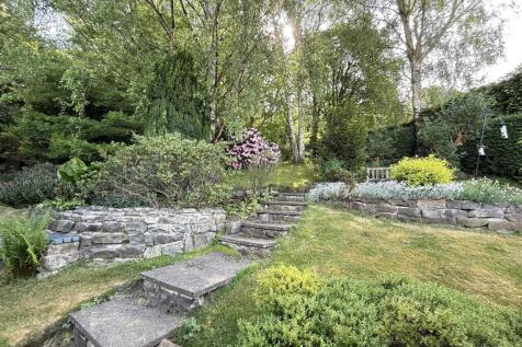 garden b.jpg