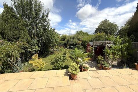 rear garden.jpg