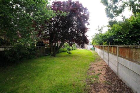 Garden 2.JPG