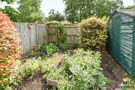 Vegetable Patch