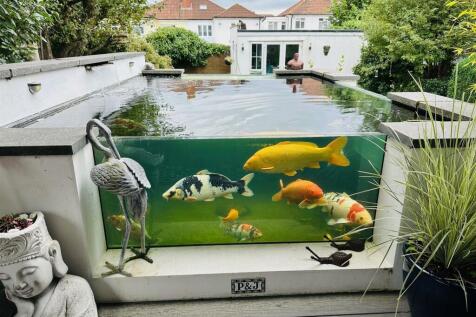 Koi Pond