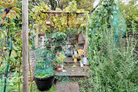 Property Image 41
