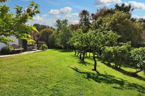Property Image 36