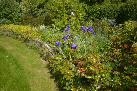 Property Image 28