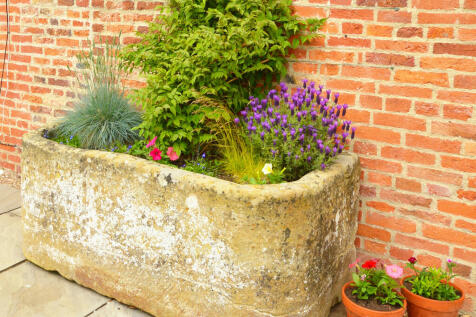 Property Image 44