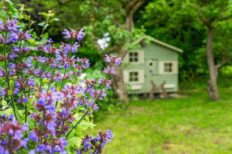 72161_The Lodge (...