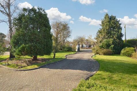 Property Image 43