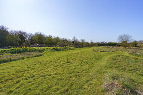 89038_The Orchard...