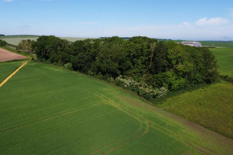 DJI_0642