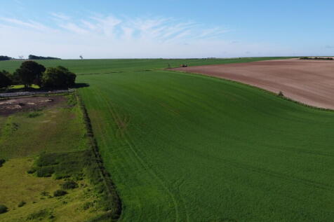 DJI_0643
