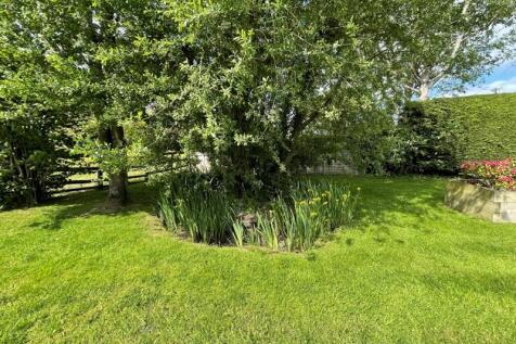 Pond