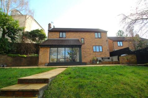 Rear Elevation