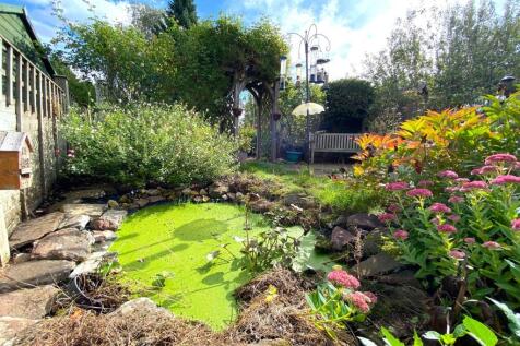 Pond