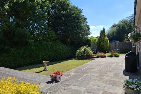 New Garden 2 (2)