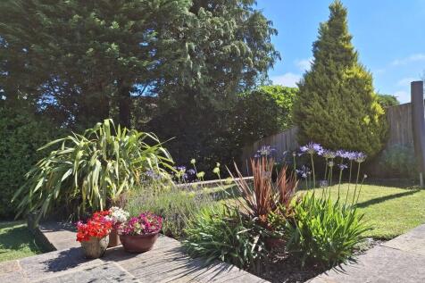 New garden 5