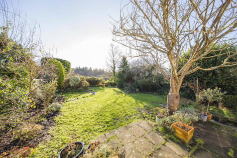 garden 2