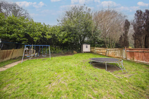 garden 1