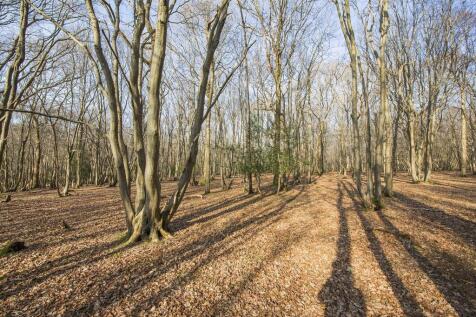 Woodland