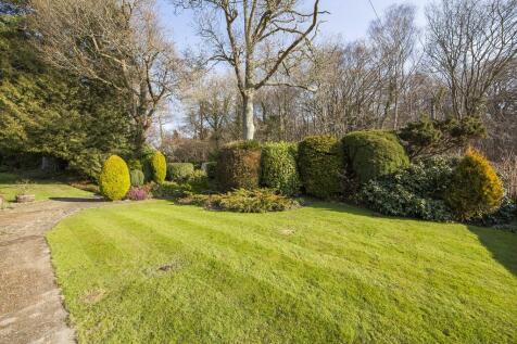 Garden 3