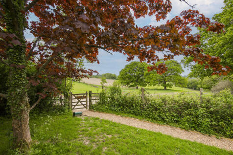 Front Path View