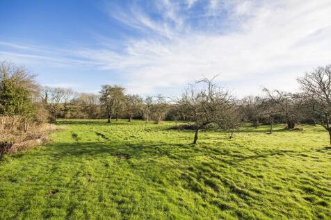 orchard