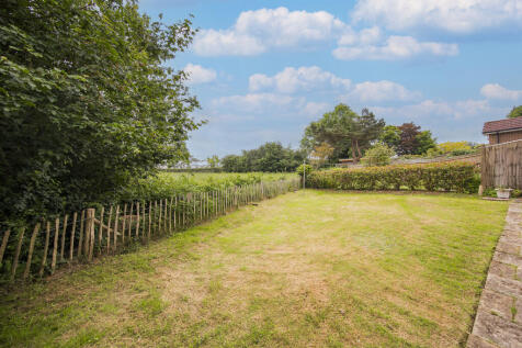 Rear Garden 2