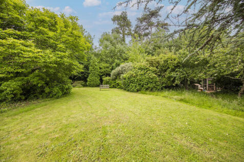 Garden area