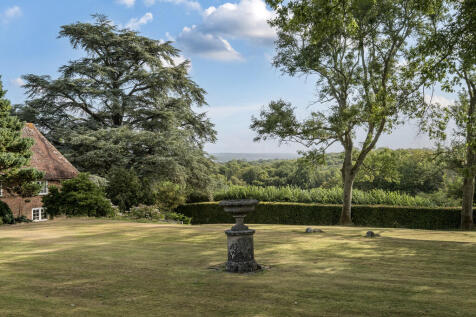 Garden 4