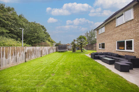 Rear Garden 2