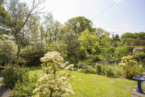Garden 3