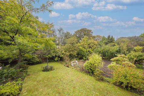 Garden 1