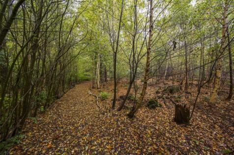 Woodland Area