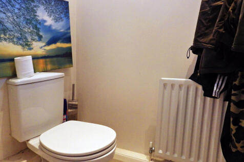 Picture 7