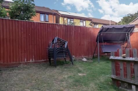 Picture 11