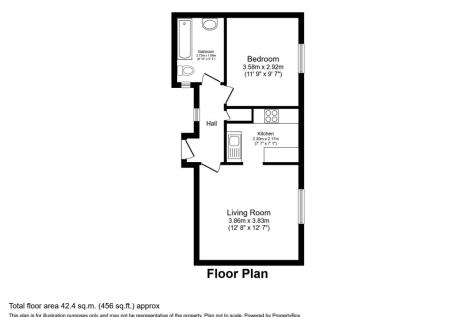 Picture 8