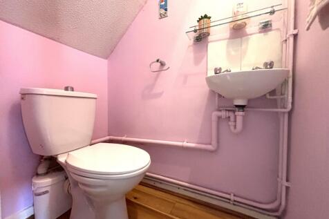 Picture 13